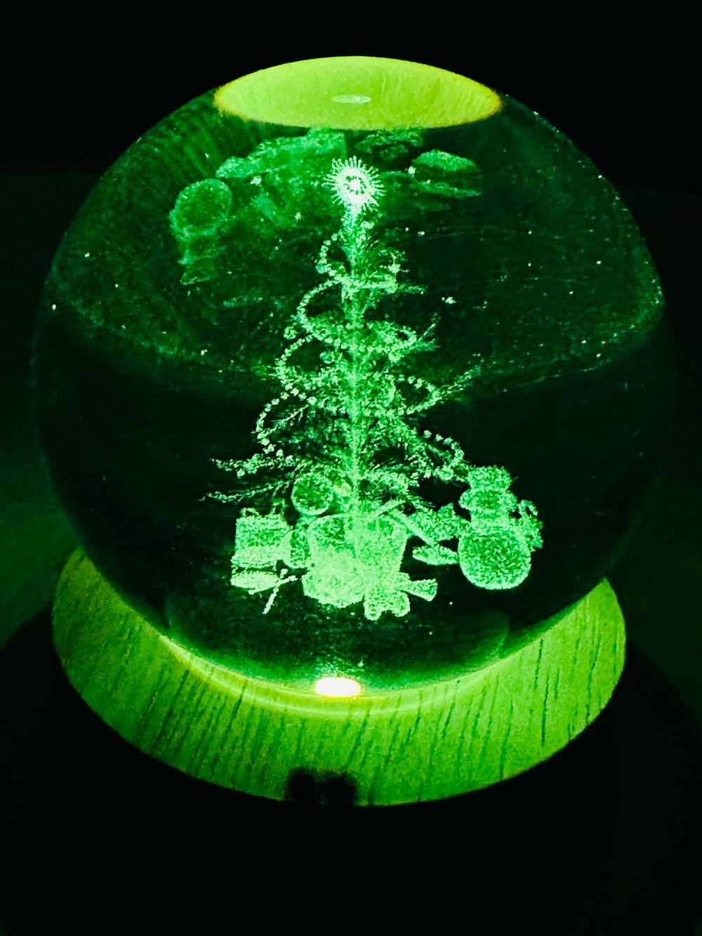Holiday LED Glass Globe with Green Illuminated Christmas Tree